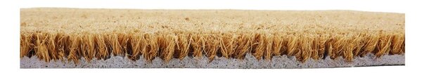 Rohožka z kokosového vlákna 40x60 cm Paw Prints – Artsy Doormats