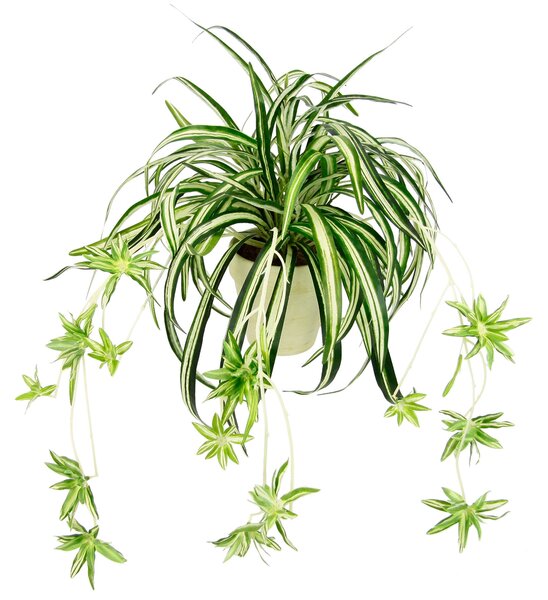UMELÁ RASTLINA 60 cm - Kvety & kvetináče, Online Only