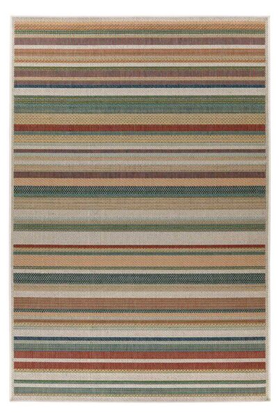 Lalee Kusový koberec Capri 304 Multi Rozmer koberca: 80 x 150 cm