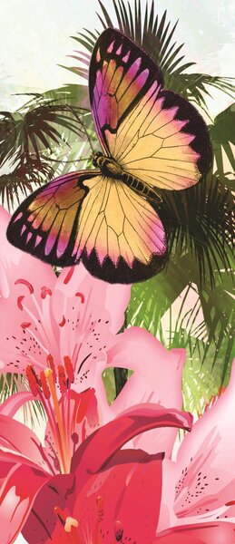 Fototapeta na dvere Colorful butterflies vlies 91 x 211 cm