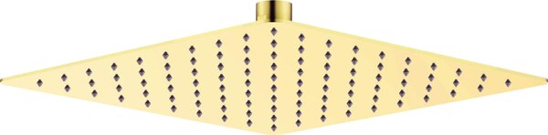 Deante Cascada, nerezová sprchová hlavica 250x250 mm, zlatá lesklá, DEA-NAC_Z02K