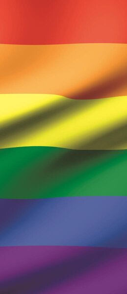 Fototapeta na dvere Waving rainbow flag vlies 91 x 211 cm