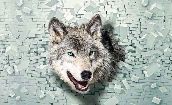 3D Fototapeta Vlk vlies 152,5 x 104 cm