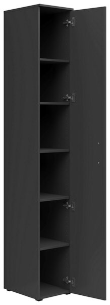 VIACÚČELOVÁ SKRIŇA, grafitová, 30/195/40 cm Carryhome - Skrine do chodby