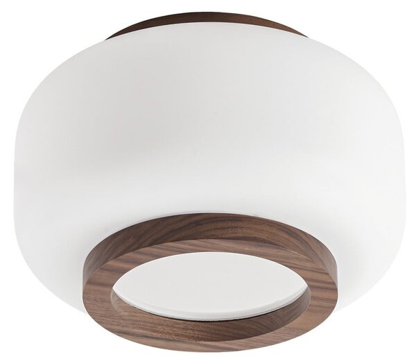 Stropné Lampa Quitani, Shiro, stmievateľné, Biela, Obývacia izba, Sklo, Dizajnový
