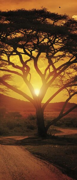 Fototapeta na dvere Africa Sunset samolepiace 91 x 211 cm