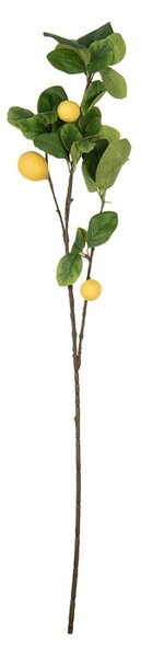 Dekorácia umelá vetvička citrónovník Lemon Tree - 10*7*73 cm - Clayre & Eef