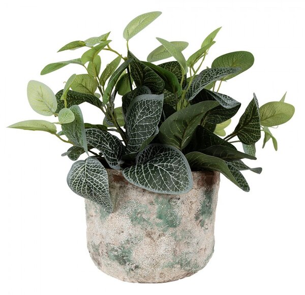 Dekoratívny béžovo-zelený antik terakotový kvetináč Teracci L - Ø 19*15 cm - Clayre & Eef