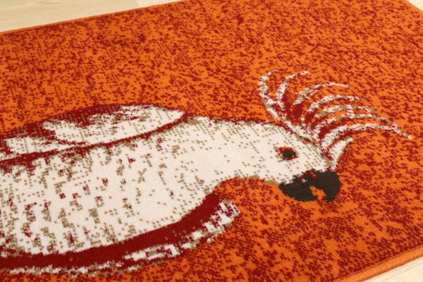 Alfa Carpets , TRHÁK: Kusový koberec Kakadu orange, 80x120, oranžová, detská izba