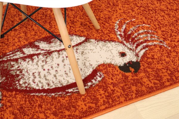 Alfa Carpets , TRHÁK: Kusový koberec Kakadu orange, 80x120, oranžová, detská izba