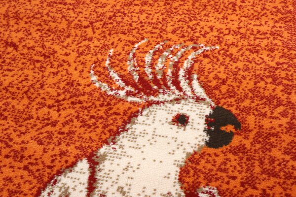 Alfa Carpets , TRHÁK: Kusový koberec Kakadu orange, 80x120, oranžová, detská izba