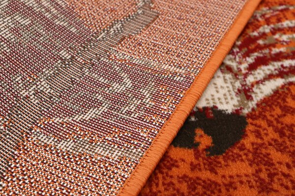 Alfa Carpets , TRHÁK: Kusový koberec Kakadu orange, 80x120, oranžová, detská izba