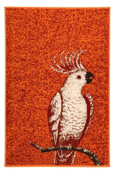 Alfa Carpets , TRHÁK: Kusový koberec Kakadu orange, 80x120, oranžová, detská izba