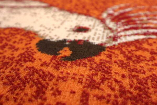 Alfa Carpets , TRHÁK: Kusový koberec Kakadu orange, 80x120, oranžová, detská izba