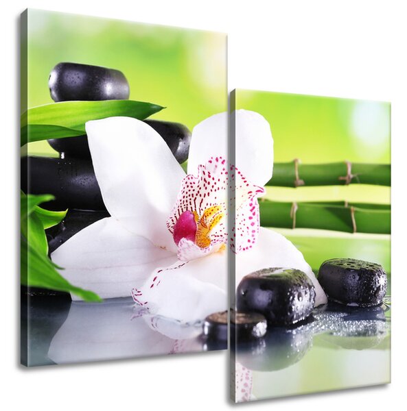 Obraz na plátne Biela orchidea a kamene - 2 dielny Rozmery: 80 x 70 cm