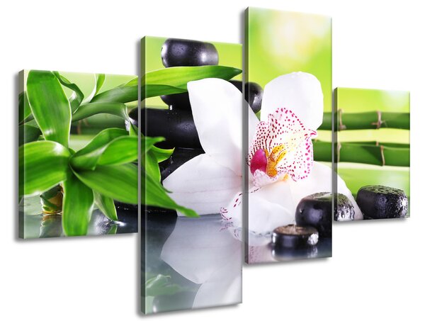 Obraz na plátne Biela orchidea a kamene - 4 dielny Veľkosť: 120 x 80 cm