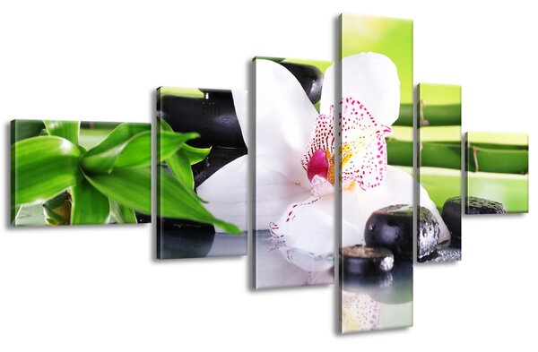 Obraz na plátne Biela orchidea a kamene - 6 dielny Rozmery: 180 x 100 cm