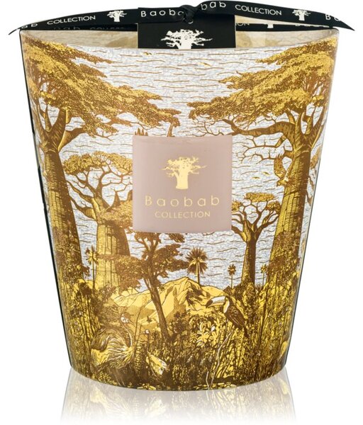 Baobab Collection Sacred Trees Bounkani vonná sviečka 1100 g