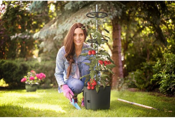 Gardenico Pestovateľská nádoba na paradajky antracit, pr. 29 cm