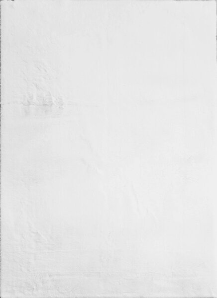 BE Koberec Cozy 1453 WHITE – biely obdĺžnikový Rozmer: 40x60 cm