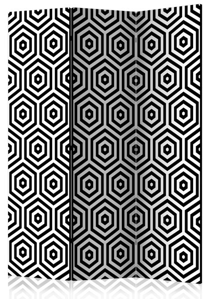 Artgeist Paraván - Black and White Hypnosis [Room Dividers]