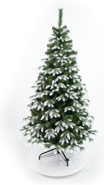 Borovica kanadská 3D- 210cm