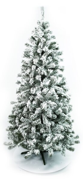 Jedlička Eliza 120cm