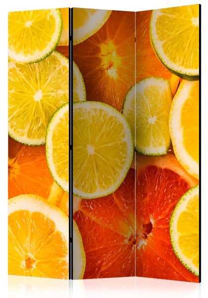 Artgeist Paraván - Citrus fruits [Room Dividers]