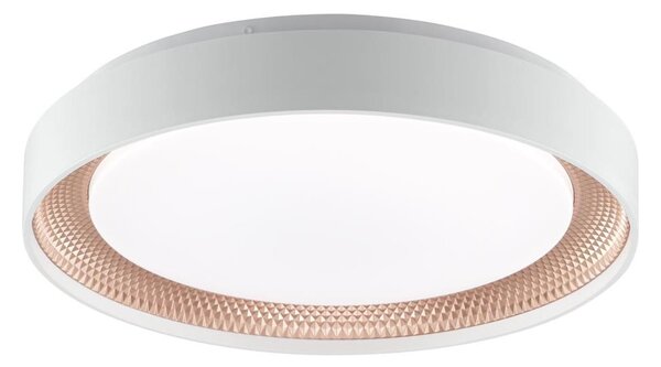 Brilliant - LED stmievateľné stropné svietidlo WALDO LED/24W/230V biela/ružovo-zlatá + DO