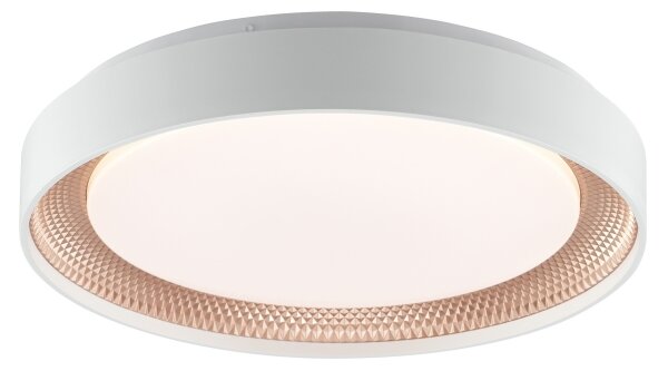 Brilliant - LED stmievateľné stropné svietidlo WALDO LED/24W/230V biela/ružovo-zlatá + DO