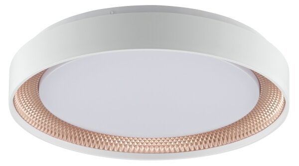 Brilliant - LED stmievateľné stropné svietidlo WALDO LED/24W/230V biela/ružovo-zlatá + DO
