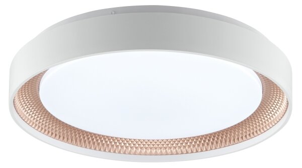 Brilliant - LED stmievateľné stropné svietidlo WALDO LED/24W/230V biela/ružovo-zlatá + DO