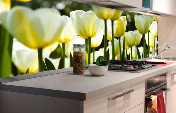 DIMEX | Fototapeta do kuchyne Biele tulipány KI-180-009 | 180 x 60 cm | zelená, biela, žltá