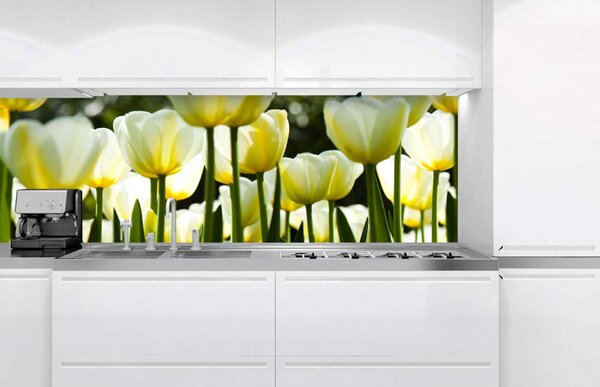DIMEX | Fototapeta do kuchyne Biele tulipány KI-180-009 | 180 x 60 cm | zelená, biela, žltá
