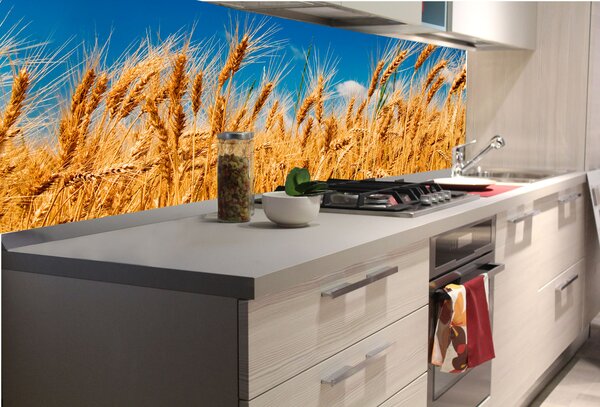 DIMEX | Fototapeta do kuchyne Pšeničné pole KI-180-011 | 180 x 60 cm | modrá, žltá