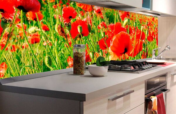 DIMEX | Fototapeta do kuchyne Červené maky KI-180-028 | 180 x 60 cm | zelená, červená