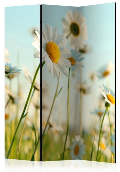 Artgeist Paraván - Daisies - spring meadow [Room Dividers]