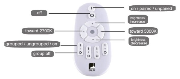 Eglo 75565 - LED Stmievateľný panel BOTAZZO LED/25W/230V 2700-5000K + DO
