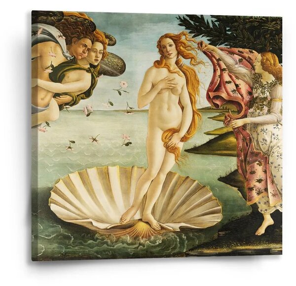Sablio Obraz Zrodenie Venuše - Sandro Botticelli - 50x50 cm