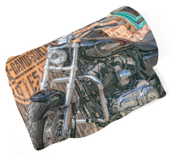 Sablio Deka Harley-Davidson 3 - 190x140 cm