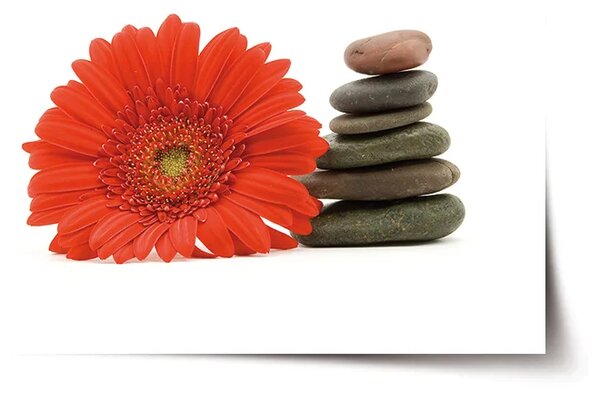 Sablio Plagát Gerbera s kameňmi - 60x40 cm