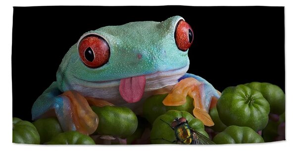 Sablio Uterák Veselá žaba - 30x50 cm