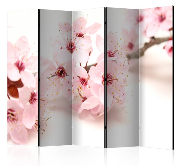 Artgeist Paraván - Cherry Blossom II [Room Dividers]