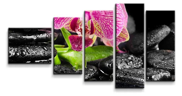 Sablio Obraz - 5-dílný Orchidea na kameňoch - 100x60 cm