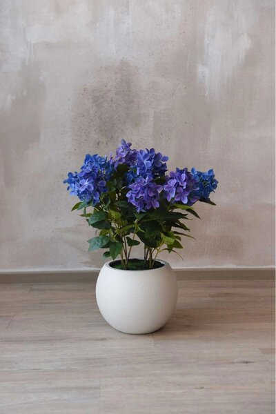 Umelá hortenzia v kvetináči HYDRANGA, plast, výška 60 cm, modrá
