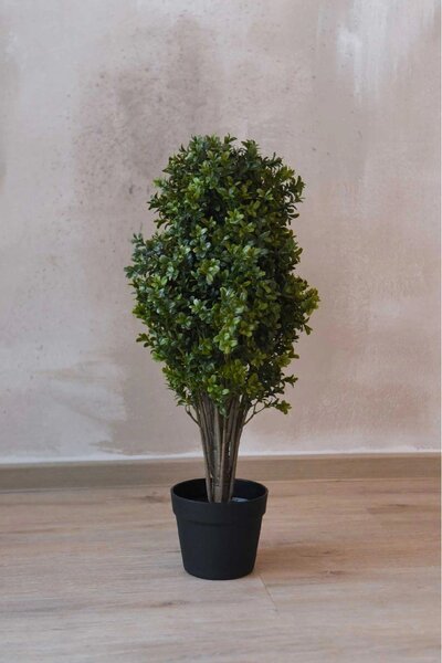 Umelý buxus BUXA, plast, výška 70 cm, zelený