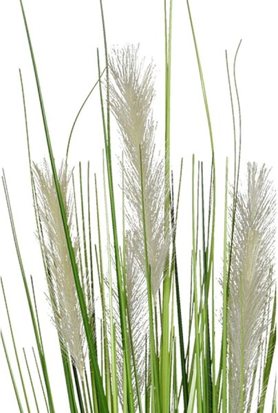 Umelá tráva PAMPAS, plast, výška 120 cm, zelená
