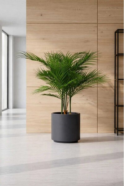 Umelá palma v kvetináči AREKA, plast, výška 90 cm, zelená