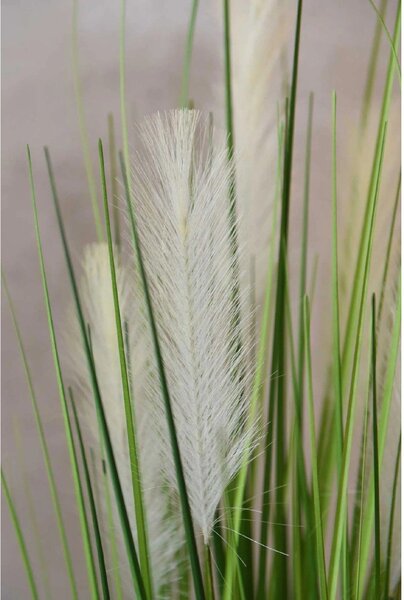 Umelá tráva PAMPAS, plast, výška 120 cm, zelená