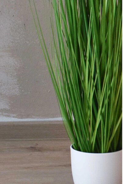 Umelá tráva PAMPAS, plast, výška 120 cm, zelená